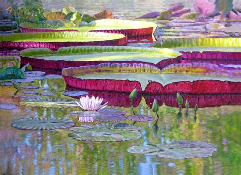 Giant Lily Pads Lily Pads Painting Beautiful Paintings