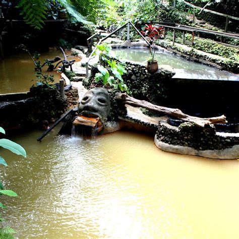 Ti Kwen Glo Cho Hot Springs Dominica Lo Que Se Debe Saber Antes De Viajar Tripadvisor