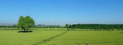 平原风景,华北平原风景(第3页)_大山谷图库