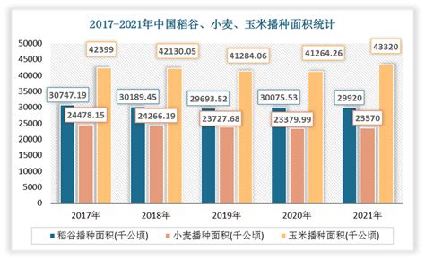 2017 2021年我国粮食作物播种面积及粮食产量统计观研报告网