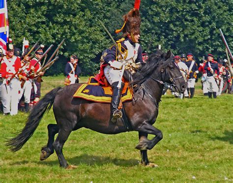 Cavalryman | Cavalryman, Cavalry, Gallop