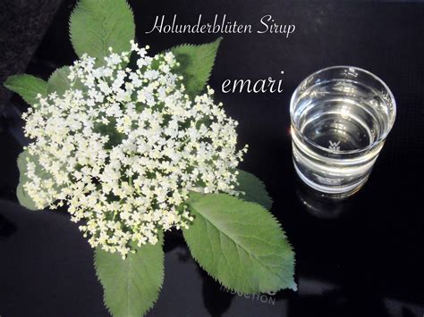 Holunder Bl Ten Sirup Rezept Mit Bild Kochbar De