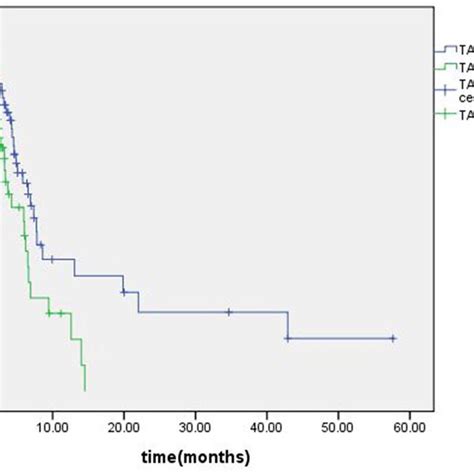 Kaplan Meier Survival Analysis Showed That The Median Os Was 22 9