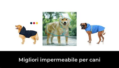 49 Migliori Impermeabile Per Cani Nel 2024 Recensioni Opinioni Prezzi