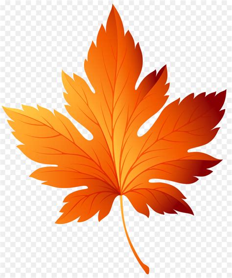 Autumn leaf color Autumn leaf color Clip art - autumn leaves png ...