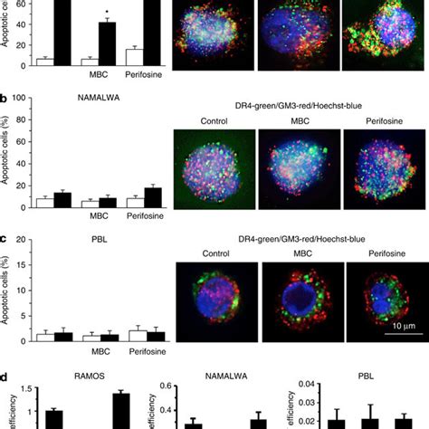 Constitutive Localization Of Trail Receptors Into Lipid Rafts Left