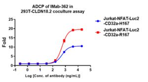 Antibody Internalization Assay Kyinno Bio