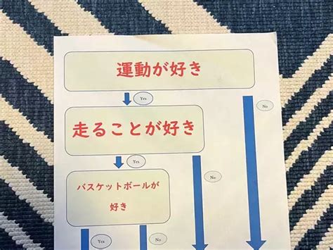 中学生が作ったバスケ部の勧誘チラシ その内容に「もはやトラップ」「ポジティブだ」 2024年1月28日 エキサイトニュース