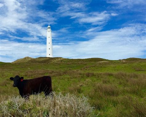 The 15 Best Things To Do In King Island 2024 Must See Attractions