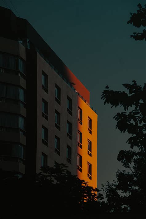 A Tall Building Sitting Next To A Forest At Night Photo Free Chill