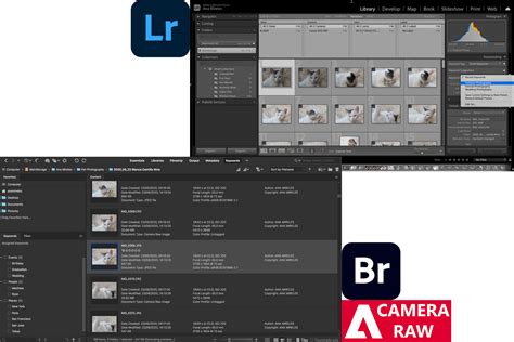 Adobe Camera Raw Vs Lightroom Which Is Best In 2021