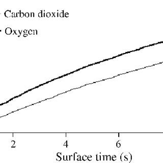 Comparison Of The Oxygen Uptake Curve And Carbon Dioxide Output Curve