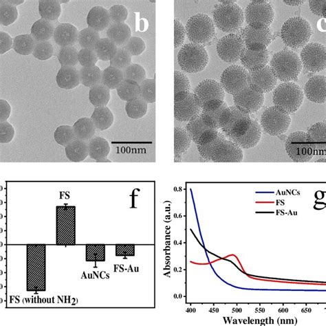 A Cell Viability Of Hela Cells Incubated With Various Concentrations