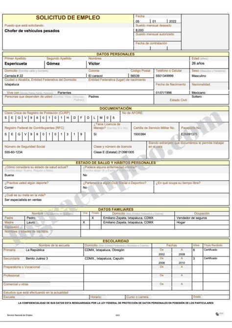 Solicitud De Empleo Llena Ejemplo2025 Logra Empleo