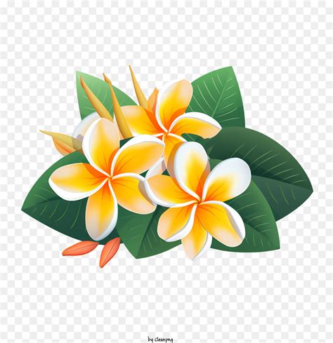 La Fleur De Frangipanier Fleur Avec Des Feuilles Vertes Plumeria Png