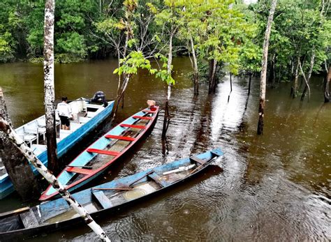 C Mo Es Alojarse En Un Lodge En La Selva De Iquitos Romy Por El Per