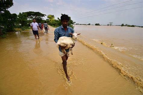 Assam Floods Situation Remains Critical Over 8 Lakh Affected Pics