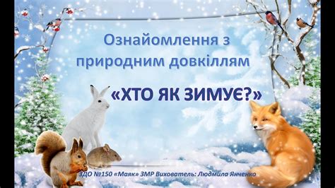 "Хто як зимує?" Ознайомлення з природним довкіллям. Старший дошкільний ...