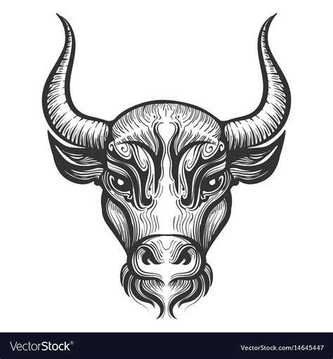 Bull head engraving Royalty Free Vector Image - VectorStock