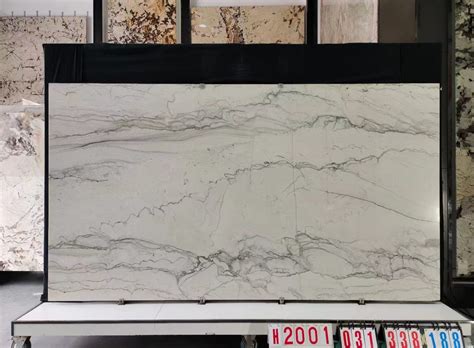Mont Blanc Quartzite Countertop&Slabs For Wholesale