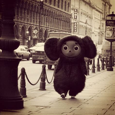69 best Just fun Cheburashka memories for fam images on Pinterest ...