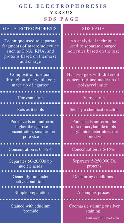 Difference Between Gel Electrophoresis and SDS PAGE - Pediaa.Com