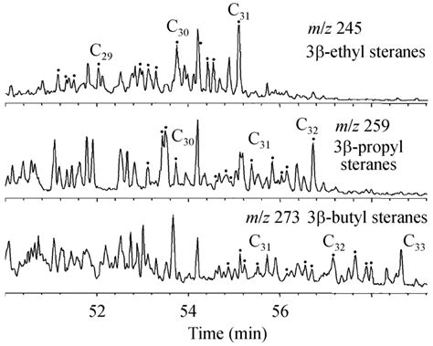 The Mass Chromatograph Of 3β Alkyl Steranes With C 2 To C 4 Side Chains Download Scientific