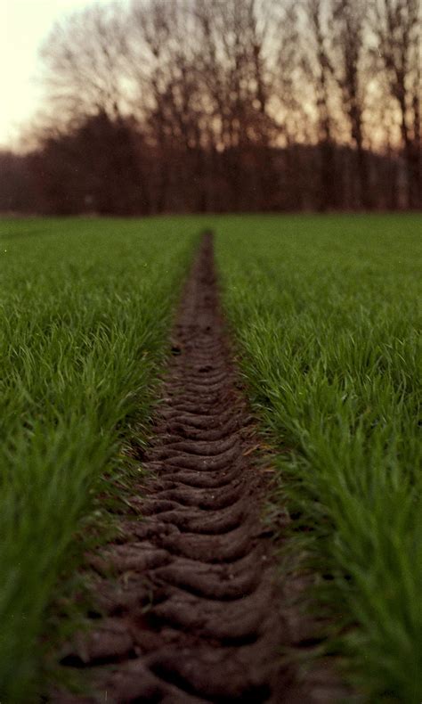 Free Images Landscape Tree Nature Pathway Track Road Trail