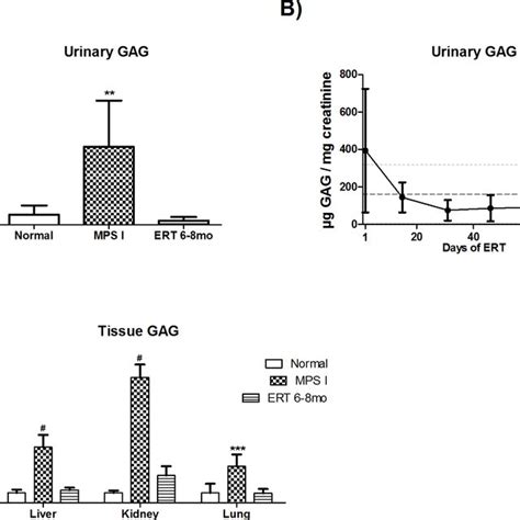 Urinary And Tissue Gag Levels A Mps I Mice Treated From 6 To 8 Months Download Scientific