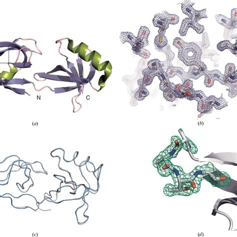 Details of the HEX-1 structure. (a) Overall structure of HEX-1 in ...