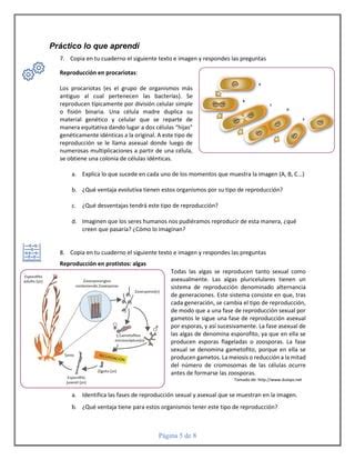 Biolog A Octavo Gu A Reproducci N Sexual Y Asexual Pdf