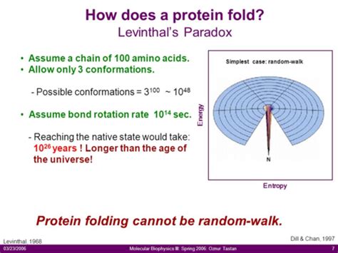 Protein Folding And Structure Flashcards Quizlet