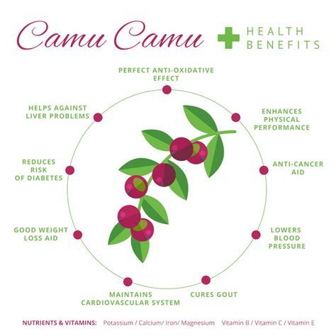 What are Camu Camu's Health Benefits? - Vitamin Packets By VitaminMD