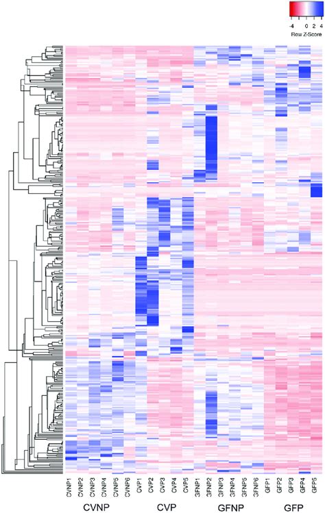 Heatmap Of Metabolites In Maternal Plasma With At Least Fold Change