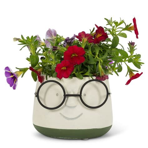 Set Of 1 Small Face Planter With Glasses