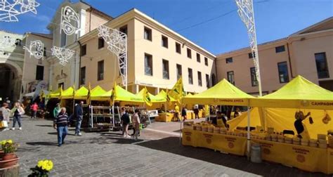 Penne Il Centro Si Tinge Di Giallo Dodici Gazebo Per Dire No Al Cibo