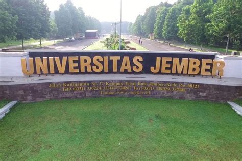 Gen Z Harus Tau Rekomendasi Universitas Terbaik Di Jember