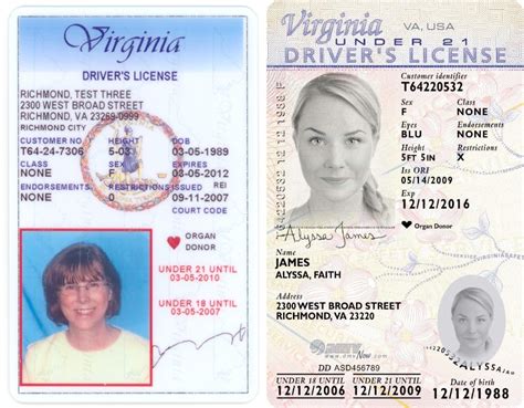 Court Codes On Va Drivers License Sapjematch