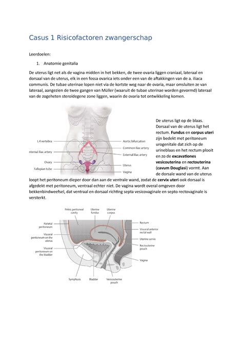Casus 1 Risicofactoren Zwangerschap Casus 1 Risicofactoren