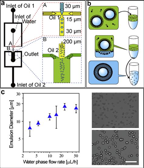 Figure From Size Control Of Giant Unilamellar Vesicles Prepared From