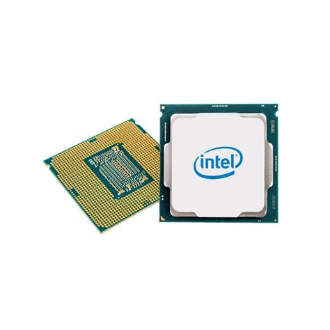 Intel Pentium Gold G Procesador Ghz Caja Mb