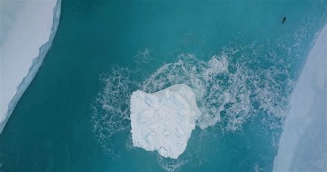 Aerial Large Iceberg Floating Blue Ocean Stock Footage SBV 348866403