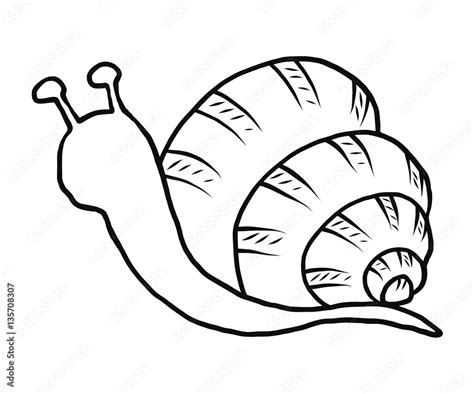 Snail Cartoon Vector And Illustration Black And White Hand Drawn