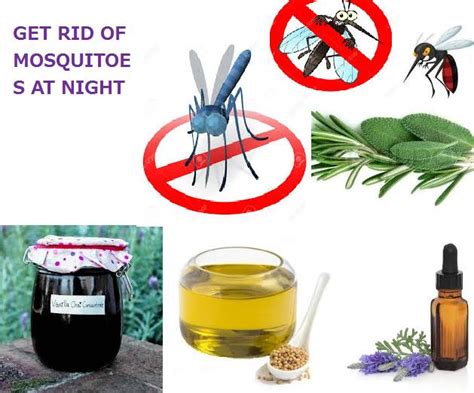 Natural Remedy to Get Rid of Mosquitoes