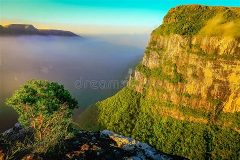 Canyon Fortaleza And Jungle Valley At Sunny Day Rio Grande Do Sul