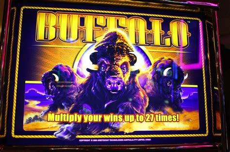 The Story Behind the Buffalo Slot's Red-Tailed Hawk | Vital Vegas