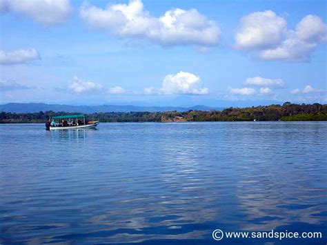 Bocas Del Toro Snorkeling Tours, Panama 🤿🐙🐬🐠 Worth the cost?