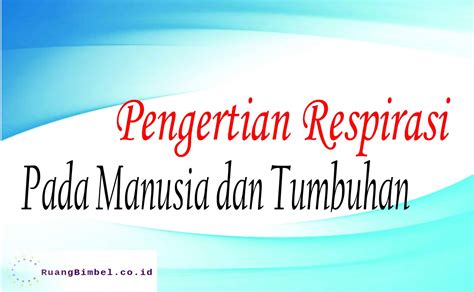 Pengertian Sistem Respirasi Homecare24