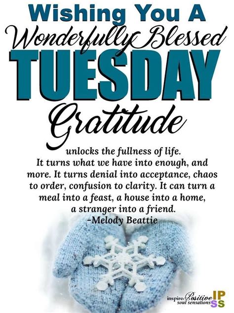 Gratitude Tuesday Tuesday Quotes Good Morning Happy Tuesday Quotes