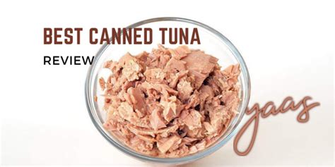 Best Canned Tuna In 2024 Top 9 Reviews And Buying Guide